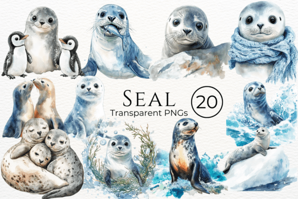 Download Seal Watercolor Cliparts - Watercolor clipart Collection