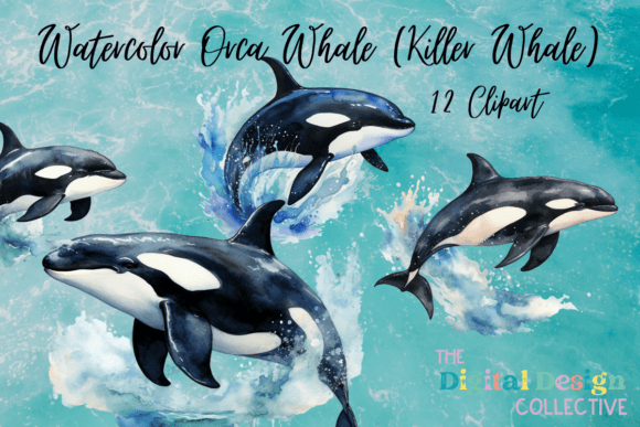 Download Vintage Orca Watercolor Clipart Bundle - Watercolor clipart Collection