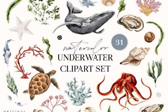 Download Underwater Watercolor Clipart Ocean Sea - Watercolor clipart Collection