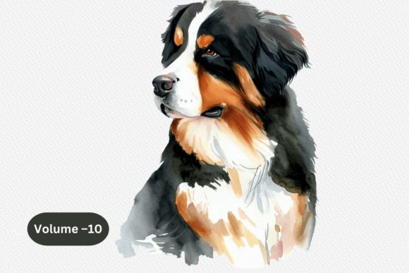 Download Bernese Mountain Dog Watercolor Clipart - Watercolor clipart Collection